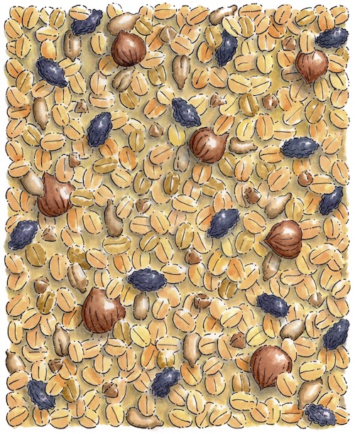 Müsli gezeichnet und koloriert