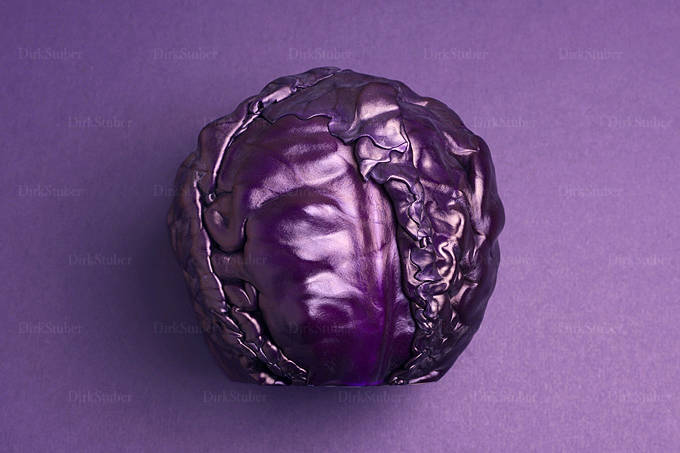 Ein Kopf Rotkohl auf lila Fond Ein Kopf Rotkohl auf lila Fond