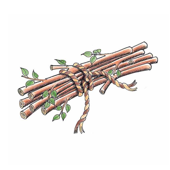 Bündel Äste geschnürt