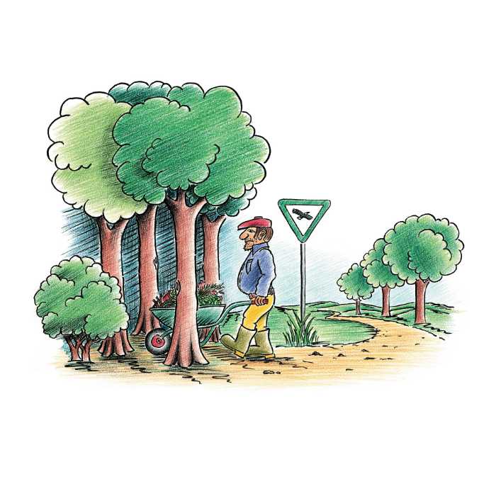 Mann mit Schubkarre bringt Grünschnitt in den Wald