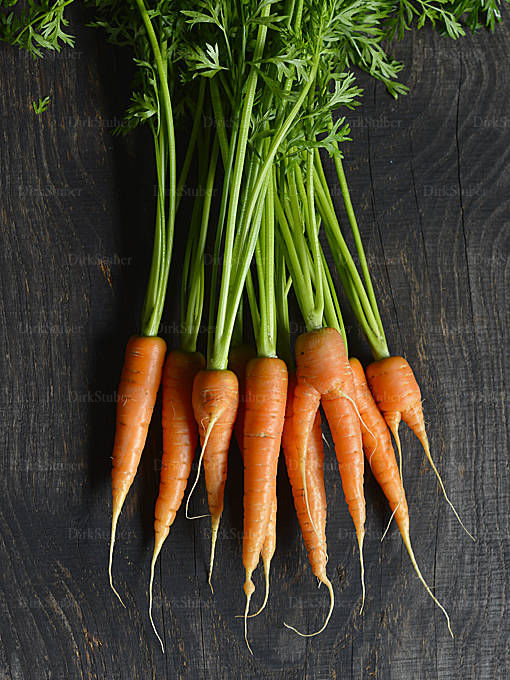 Bundmöhren Food Fotografie