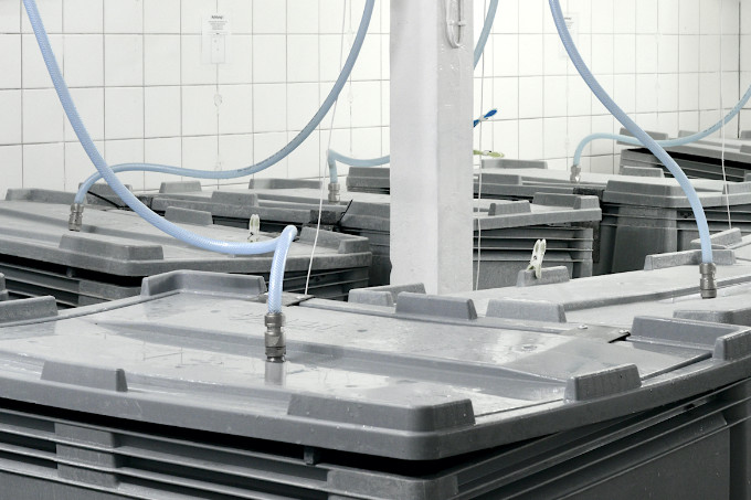 Vitalsprossen Keimbehälter