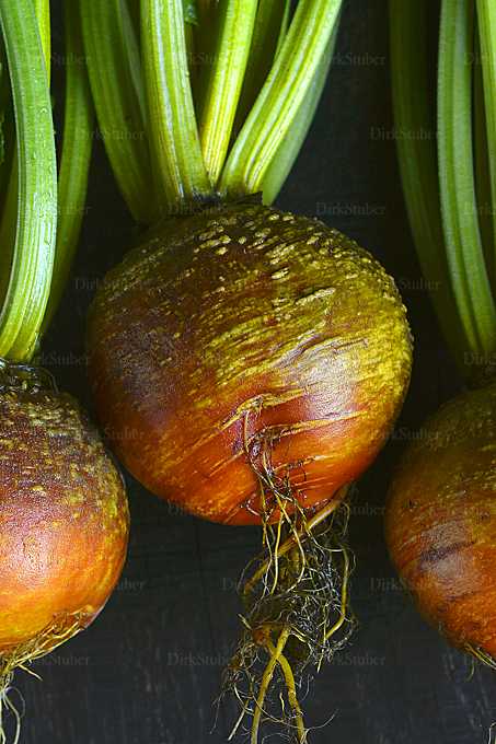 Gelbe Beete mit Grün und Wurzeln